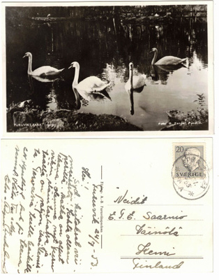 Vanha kortti, Ruotsi, Furuvikin puisto, joutsenet, v. 1953