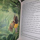 Sanna Isto - Tinka ja Taika - kuv. Julia Vuori 1.p.2011 - pikkukuva 3