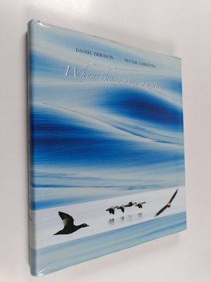 Daniel Eriksson : When the waves awake