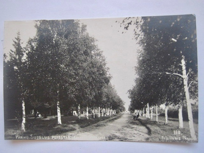 VANHA Postikortti Viro Eesti Estonia Pärnu 1920-l