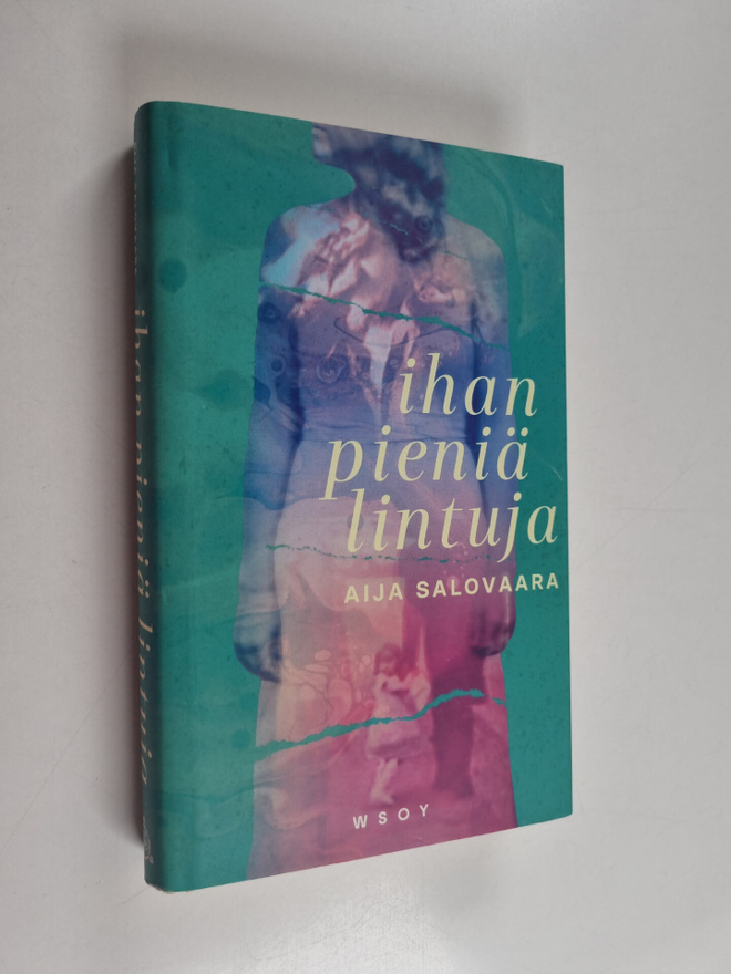 Aija Salovaara : Ihan pieniä lintuja