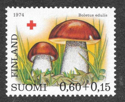 Punainen risti 0,60+0,15 1974  (LAPE 754) **