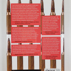 Jacob N. Shapiro : The terrorist's dilemma : managing vio... - pikkukuva 2