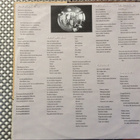 J. KARJALAINEN JA MUSTAT LASIT/ KOOKOSPÄHKINÄKITARA vinyyli. - pikkukuva 2