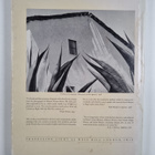 Jane Livingston : M. Alvarez Bravo - pikkukuva 2