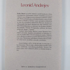 Leonid Andrejev : Juudas Iskariot - pikkukuva 2