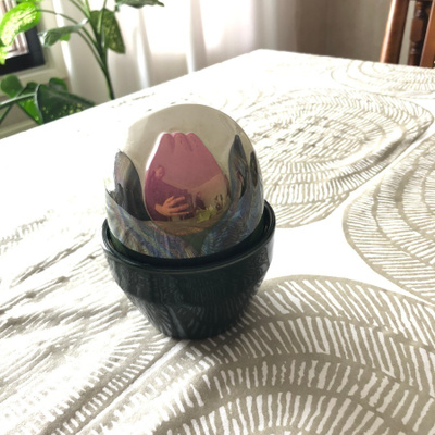 Arabia ikikukka tulppaani