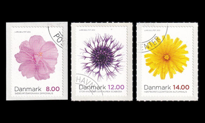 Tanska 1714-6 o Syyskukkia (2012)
