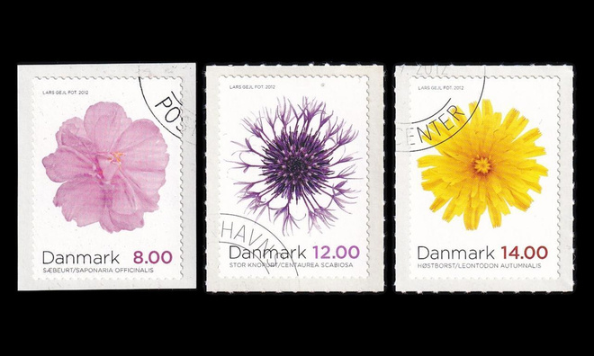 Tanska 1714-6 o Syyskukkia (2012)