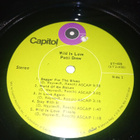 LP Patti Drew : Wild is love ( SIS POSTIKULU ) - pikkukuva 4