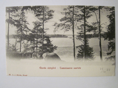 VANHA Postikortti Tammisaari HUIPPUKUNTO ennen-1905