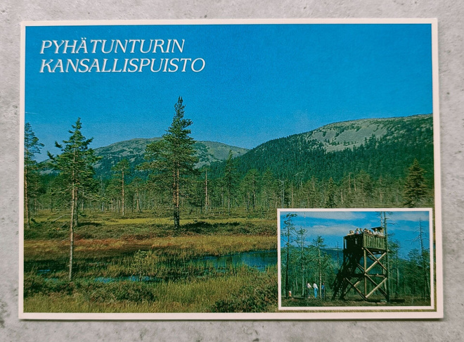 Pelkosenniemi, Pyhätunturi