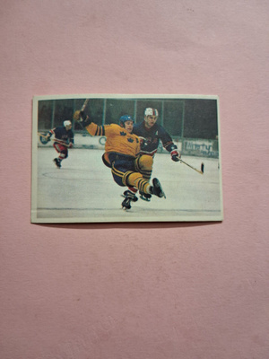 Panda. Jääkiekkokoulu. 64.
