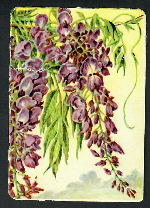Heller - Nelkku - Kaunis sinisade - 1940-luvulta