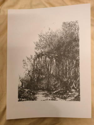 Tibor Csabai: "Kapolai szelek" taidegrafiikka (28/100)