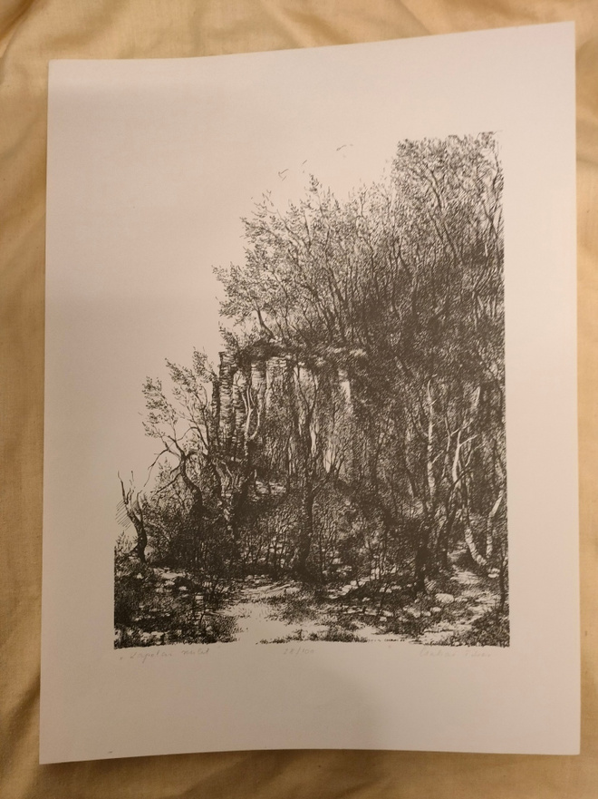Tibor Csabai: "Kapolai szelek" taidegrafiikka (28/100)