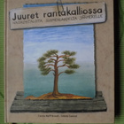 Juuret rantakalliossa - Naiskohtaloita Suomenlahdellta jää.. - pikkukuva 1