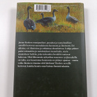 Jorma Koski : Hanhipiilo - pikkukuva 2