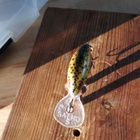 Salmo Sinking Hornet 3 - pikkukuva 3