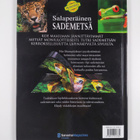 Jen Green : Salaperäinen sademetsä - pikkukuva 2