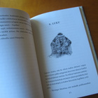 Huityttö ja Pampoika - Anna-Liisa Haakana - pikkukuva 5