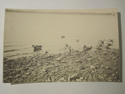 VANHA Postikortti Tammisaari 1930-l