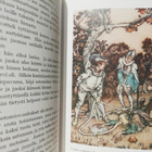 Grimmin satuja - suom. Anni Swan kuv. Arthur Rackham - pikkukuva 2