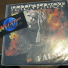 HAUSVABOT - FALSCH! M-/EX 7'' SINGLE - pikkukuva 1