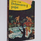 Heikki Jylhä : Delawaren pojat : Intiaanikertomus - pikkukuva 1