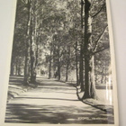 VANHA Postikortti Kuopio 1950-l Alkup.Mallikappale - pikkukuva 1