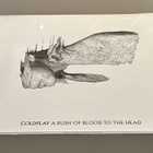 COLDPLAY : A Rush Of Blood To The Head - LP, uusi - pikkukuva 4