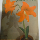 Kotiliesi No 6 maaliskuu 1943 - pikkukuva 1