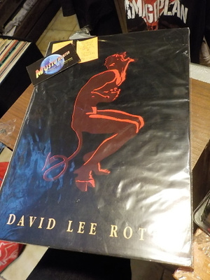 DAVID LEE ROTH - EXCESS ALL AREAS KIERTUEKIRJA +