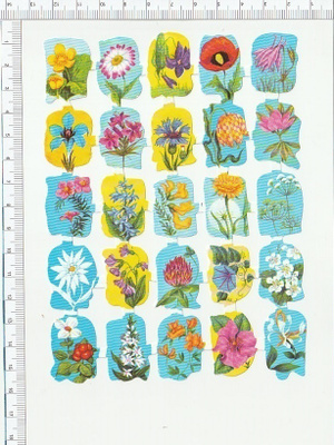 *  kauniit kukat, pikku-arkki, 15x11cm *