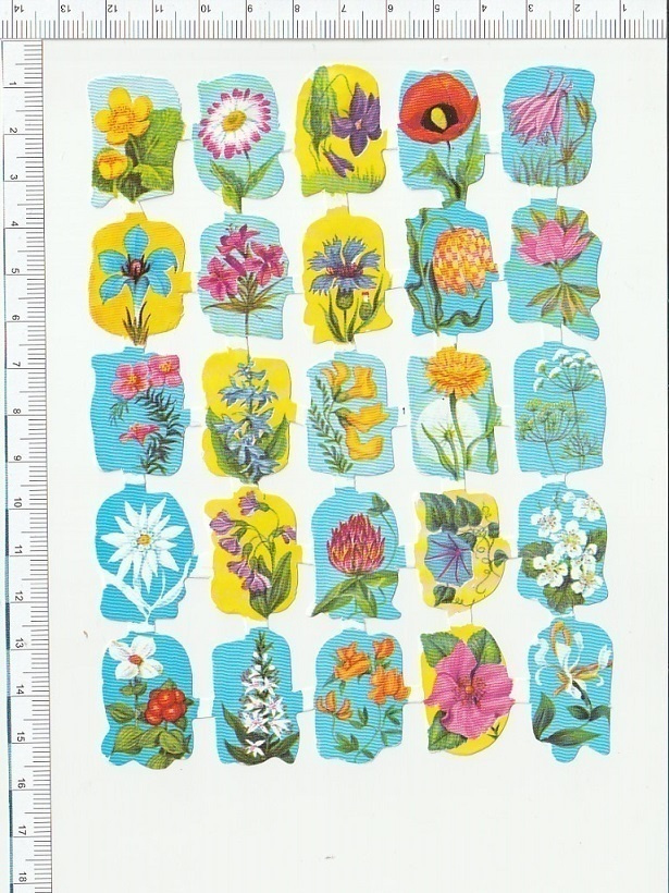 *  kauniit kukat, pikku-arkki, 15x11cm *