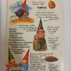 Poortvliet-Huygen: Suuri tasku tonttukirja - pikkukuva 2