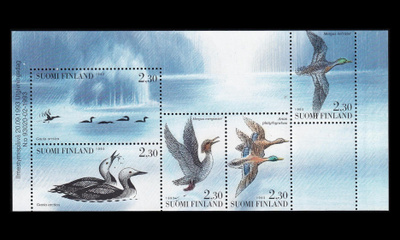 1218-22hb ** Vesilintuja vihkolehti (1993)
