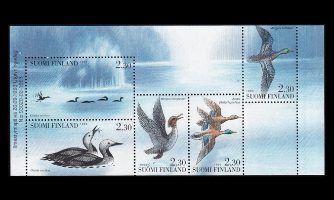 1218-22hb ** Vesilintuja vihkolehti (1993)