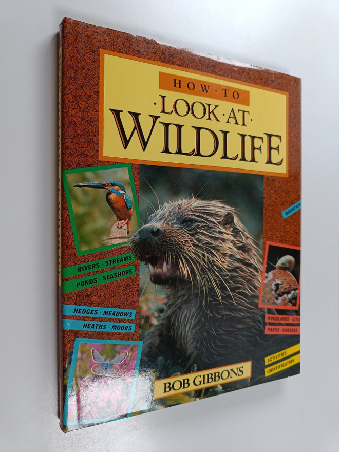 Bob Gibbons : How to Look at Wildlife