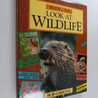 Bob Gibbons : How to Look at Wildlife - pikkukuva 1