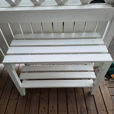 Valkoinen pihahyllykkö