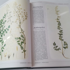 Flora - Suomen Suurkasvio Kirja ( Numeroitu Painos ) - pikkukuva 5