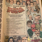 Marvel Treasury: Spider-Man - pikkukuva 2