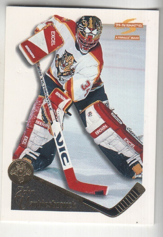 John Vanbiesbrouck Pinnacle summit