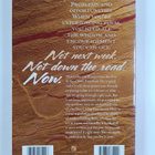 Live It Now - Holy Bible : New Testament - pikkukuva 2