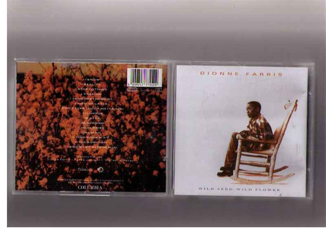 DIONNE FARRIS-WILD SEED -WILD FLOWER