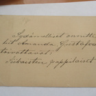 1904 Siikainen ehiöllä - pikkukuva 2