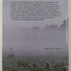 Kerstin Källen : Lammasherkkuja - pikkukuva 2