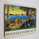 Fogeli ym. : Puupään parhaat 5 : sarjakuvia - pikkukuva 1
