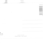 °°KISSA & KESÄPIILO°° -KORTTI /Paperitaide - pikkukuva 2
